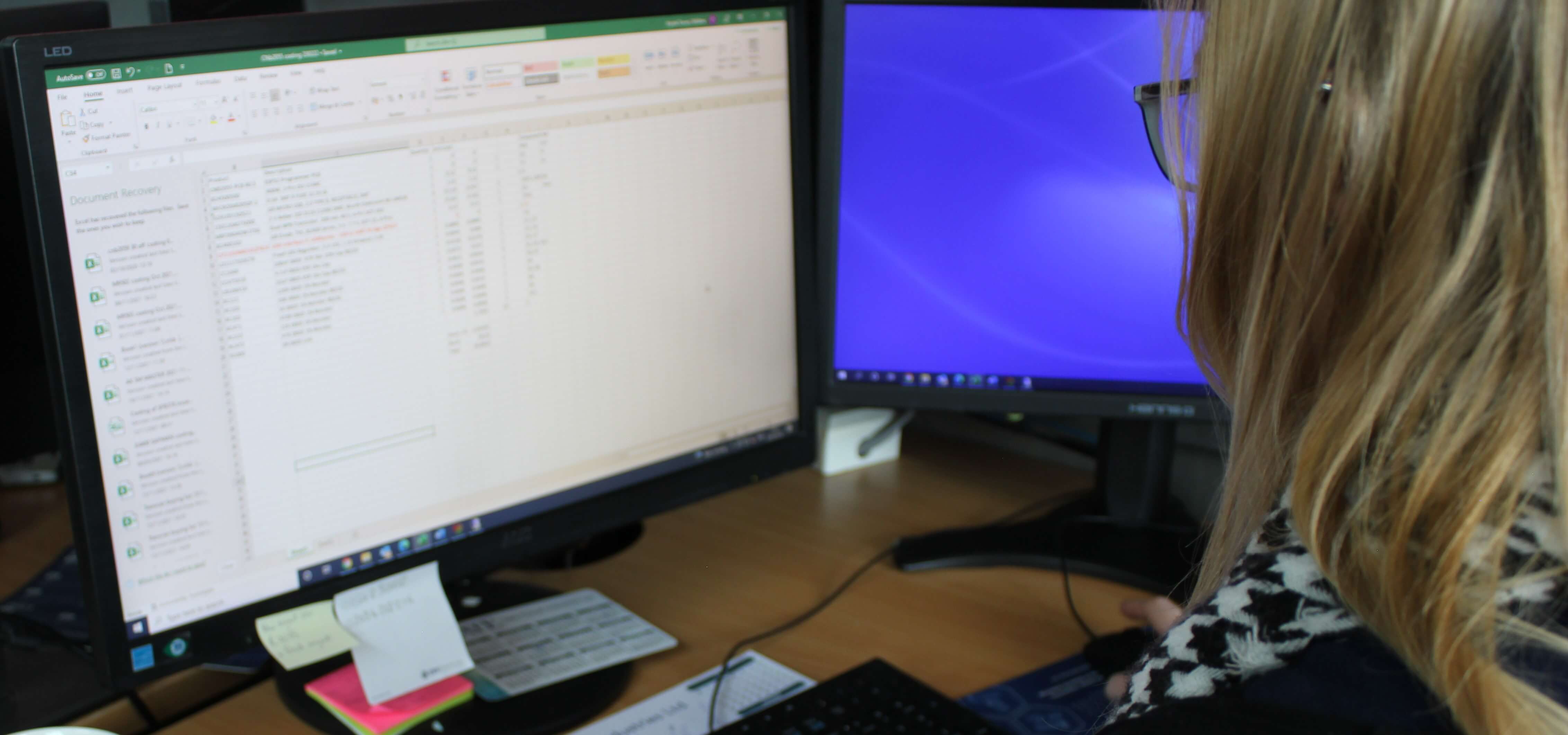 A woman reviewing an Excel spreadsheet on her computer to help illustrate GB Electronics' after sales service.